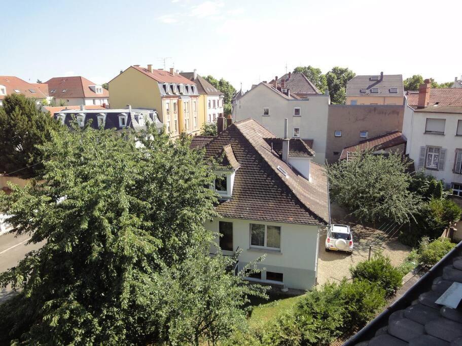 Le Nid Des Cigognes A Colmar Centre, Proche Gare, Marches De Noel公寓 外观 照片